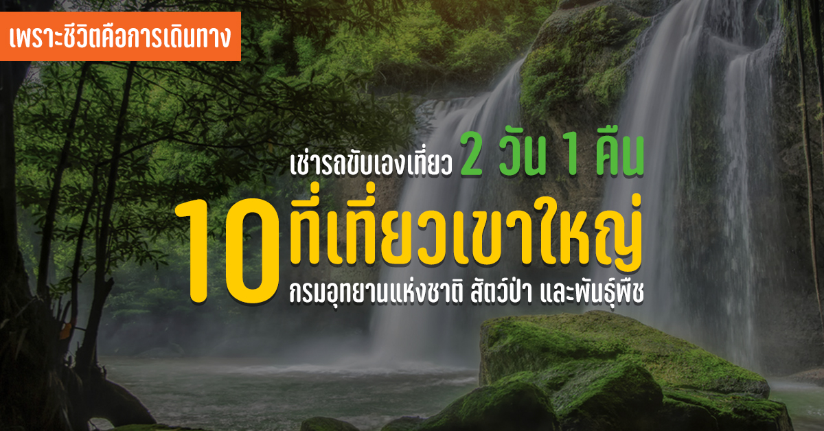 เช่ารถขับเอง ครื้นเครง 2 วัน 1 คืน ดื่มด่ำ 10 ที่เที่ยวเขาใหญ่ ไปเที่ยวให้เต็มที่ไปเลย เราวางแผนเอาไว้แล้ว